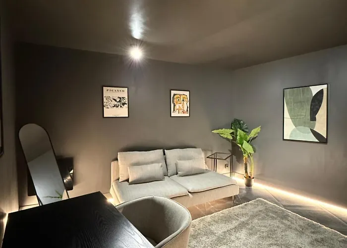 Cosy & Sauna Hypercentre Daire